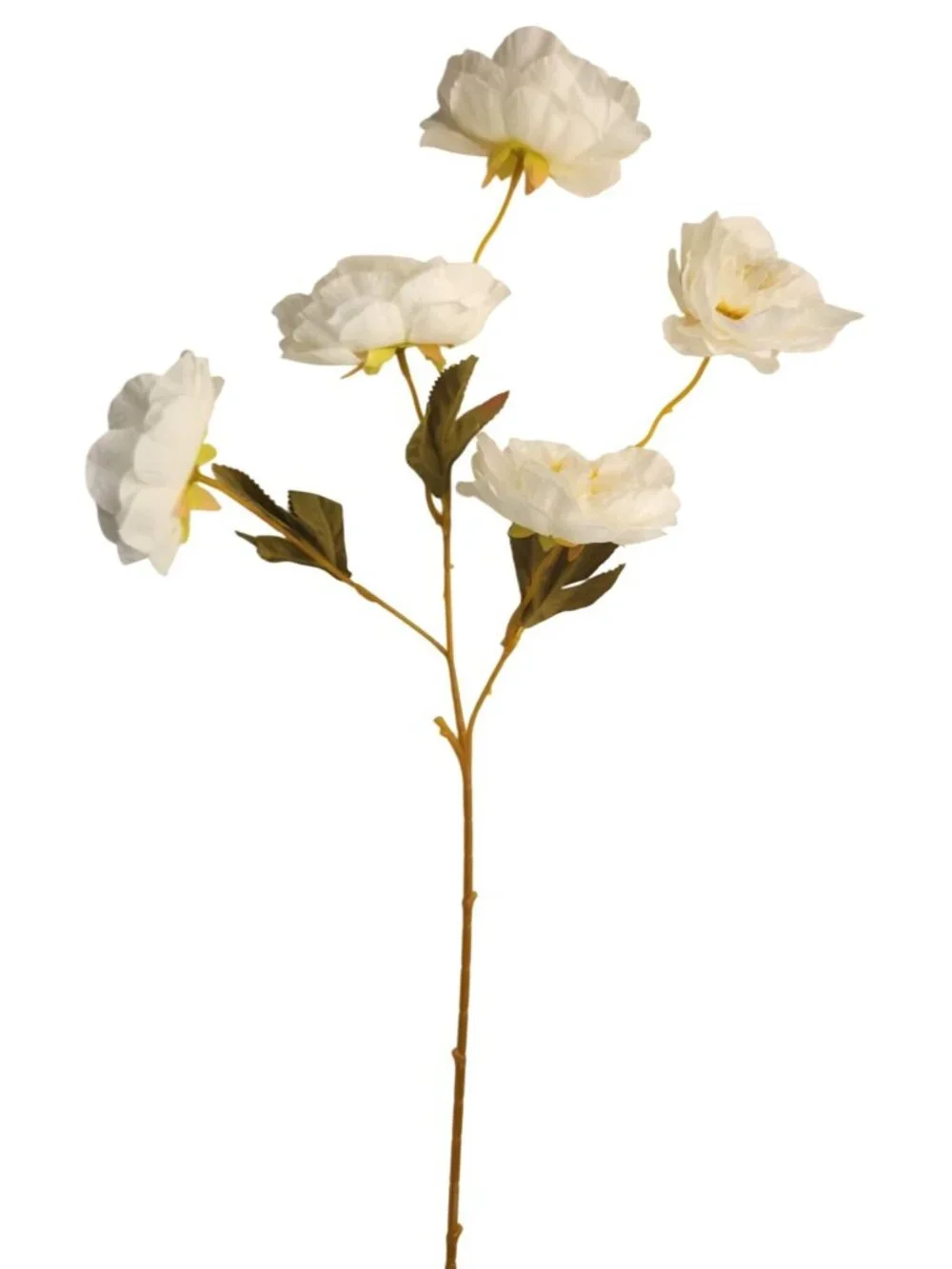 Cream Ranunculus Stems, Faux Ranunculus Flowers, Artificial Flowers, Ivory Flora
